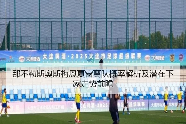 那不勒斯奥斯梅恩夏窗离队概率解析及潜在下家走势前瞻